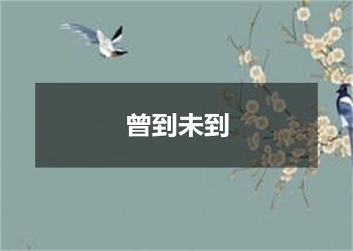 曾到未到