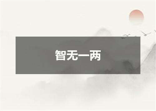 智无一两