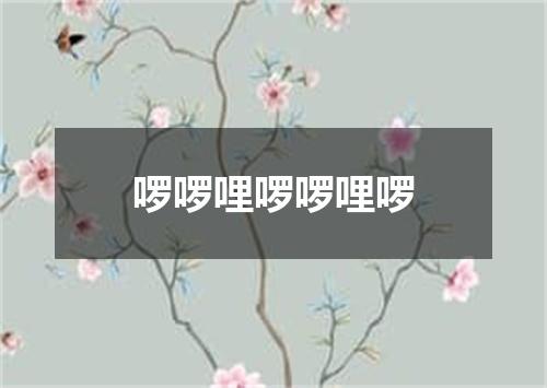 啰啰哩啰啰哩啰