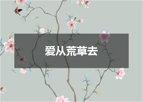 爱从荒草去
