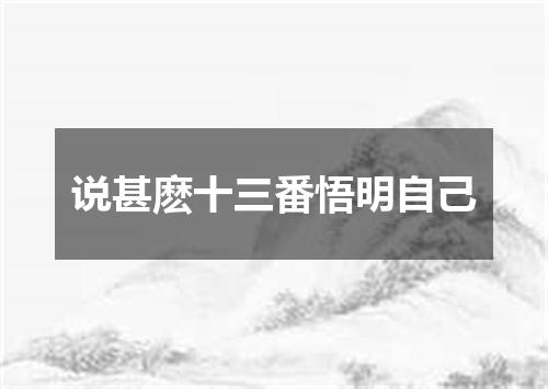 说甚麽十三番悟明自己