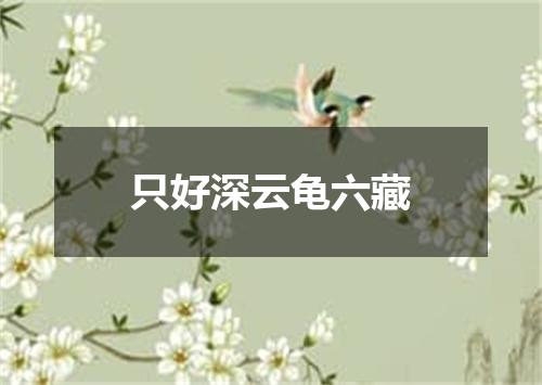 只好深云龟六藏