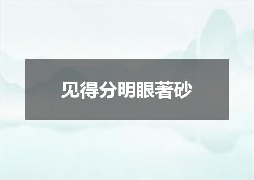 见得分明眼著砂