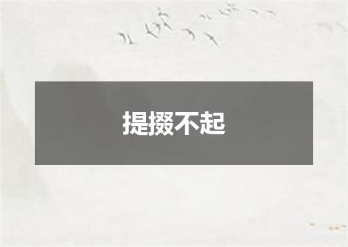 提掇不起