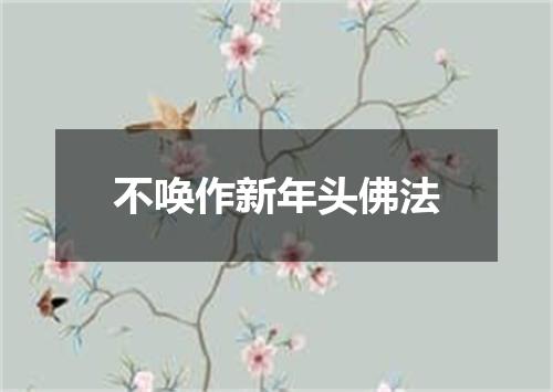 不唤作新年头佛法
