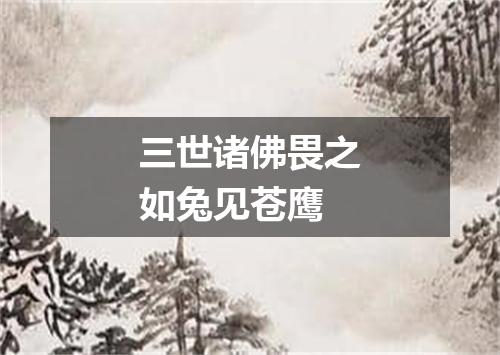 三世诸佛畏之如兔见苍鹰