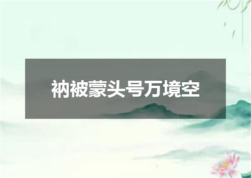 衲被蒙头号万境空