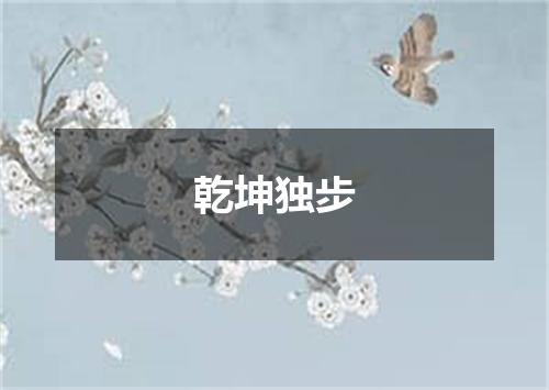 乾坤独步