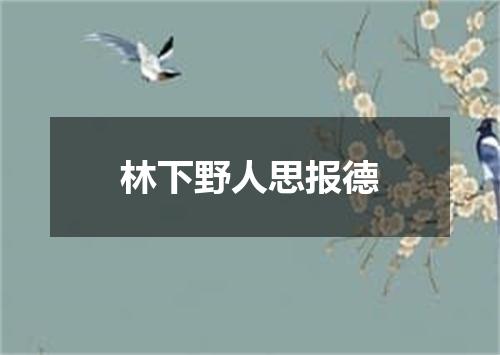 林下野人思报德
