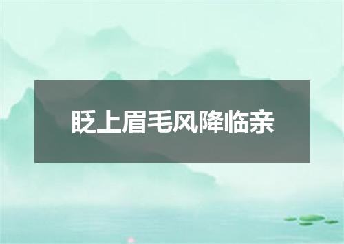眨上眉毛风降临亲