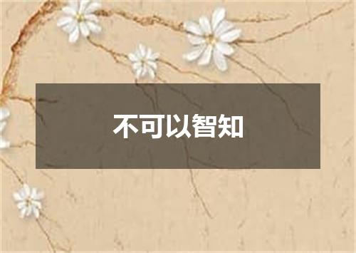 不可以智知
