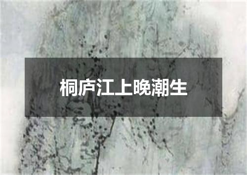 桐庐江上晚潮生