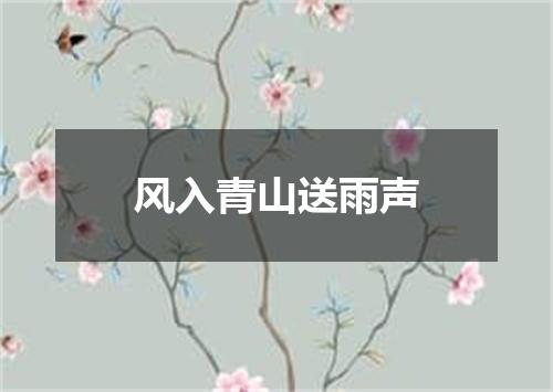 风入青山送雨声