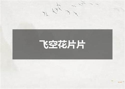 飞空花片片