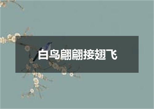 白鸟翩翩接翅飞