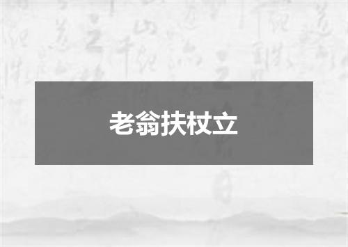 老翁扶杖立