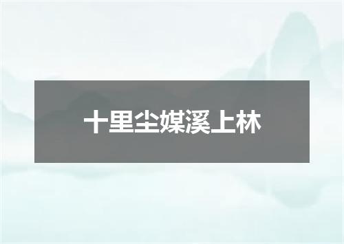 十里尘媒溪上林