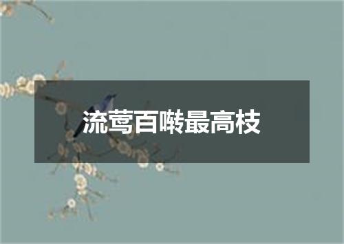 流莺百啭最高枝