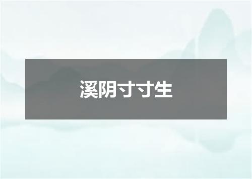 溪阴寸寸生