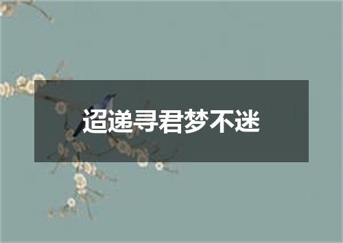 迢递寻君梦不迷