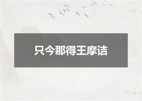 只今那得王摩诘