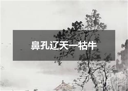 鼻孔辽天一牯牛