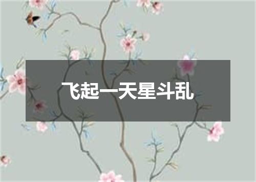 飞起一天星斗乱