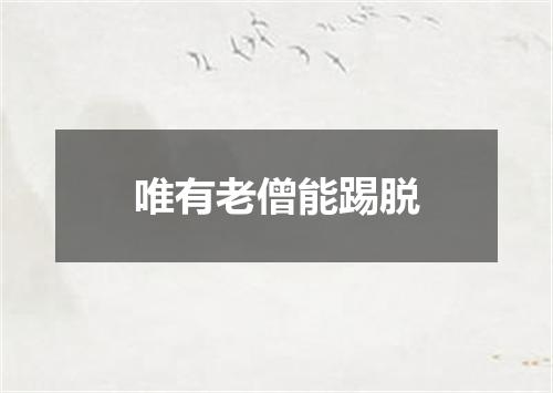 唯有老僧能踢脱