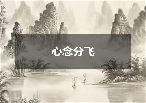 心念分飞