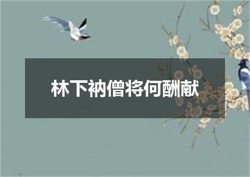 林下衲僧将何酬献