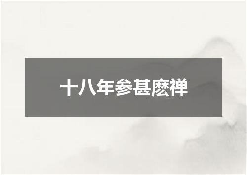 十八年参甚麽禅