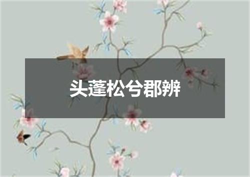 头蓬松兮郡辨