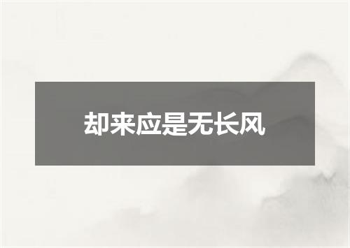 却来应是无长风