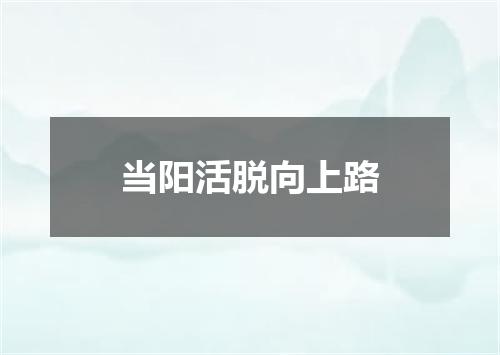 当阳活脱向上路