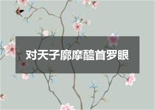 对天子廓摩醯首罗眼