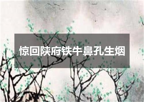 惊回陕府铁牛鼻孔生烟
