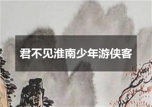 君不见淮南少年游侠客