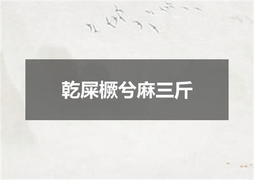 乾屎橛兮麻三斤