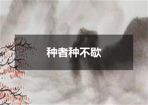种者种不歇