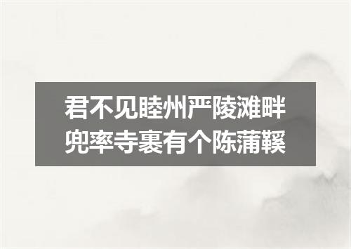君不见睦州严陵滩畔兜率寺裹有个陈蒲鞵