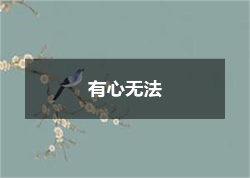 有心无法