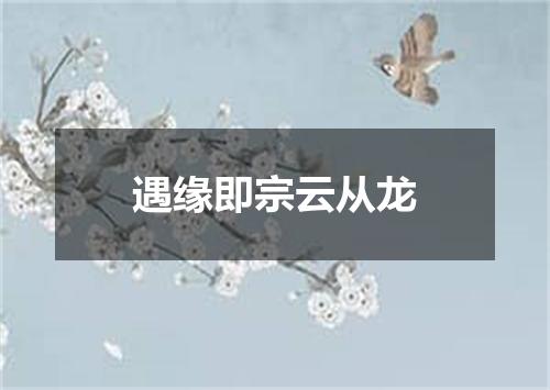遇缘即宗云从龙