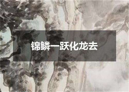 锦鳞一跃化龙去