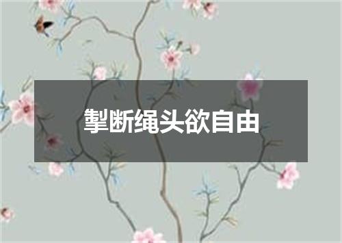 掣断绳头欲自由