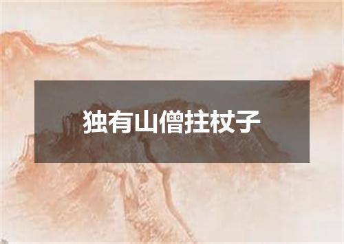 独有山僧拄杖子