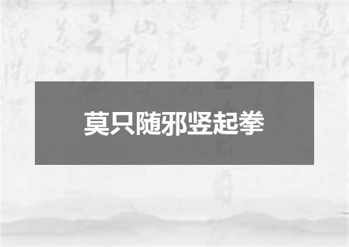 莫只随邪竖起拳