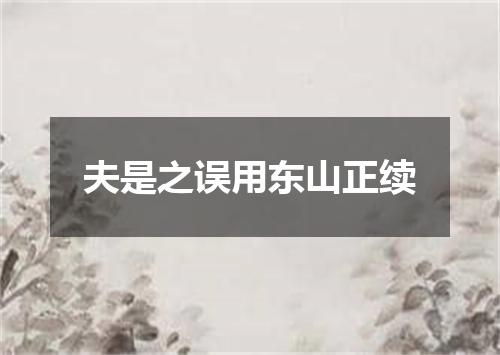 夫是之误用东山正续