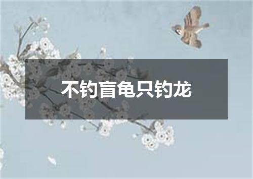 不钓盲龟只钓龙