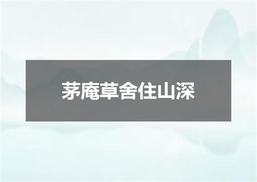 茅庵草舍住山深