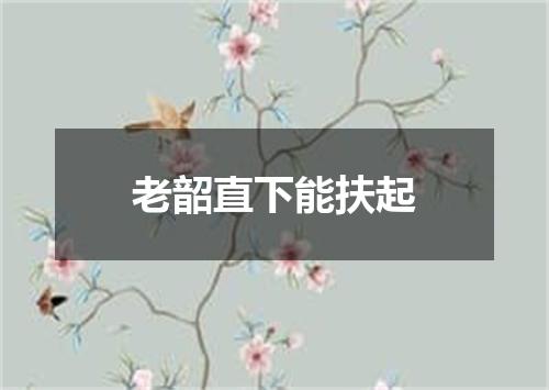 老韶直下能扶起